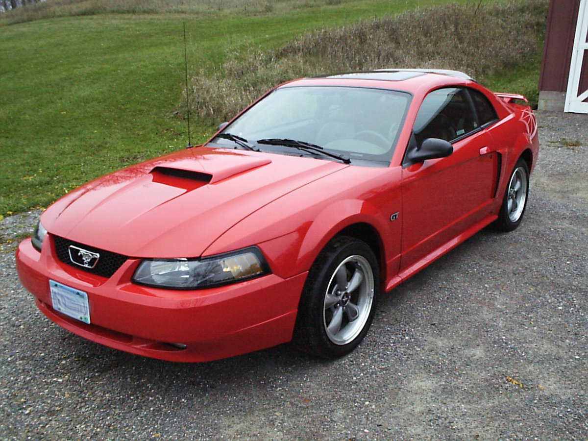 Mustang image 01
